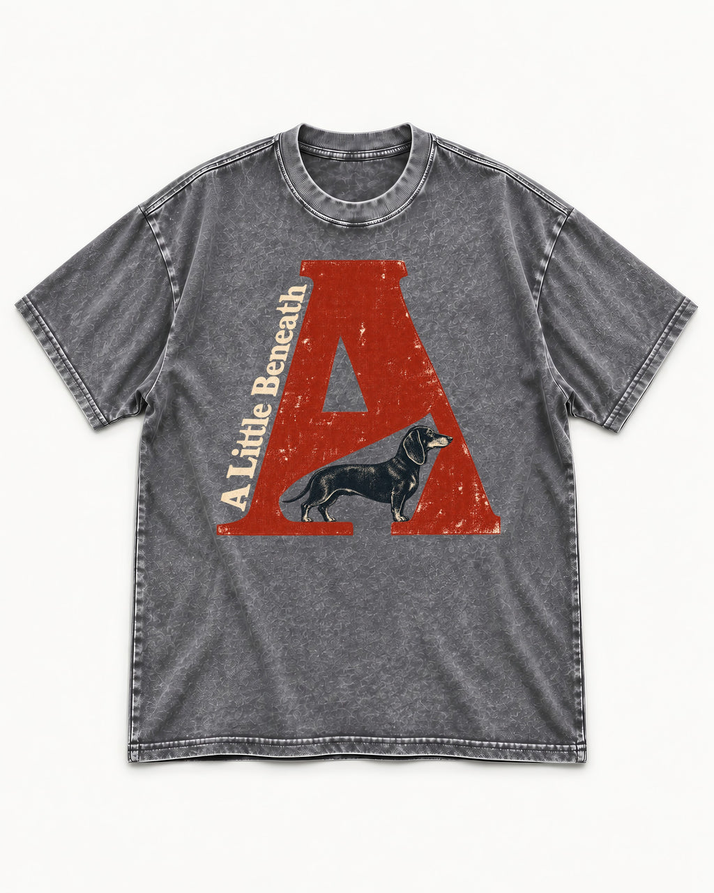 Dachshund A Little Beneath Monumental Letter Graphic Washed Tee in Gray, flat lay product photo