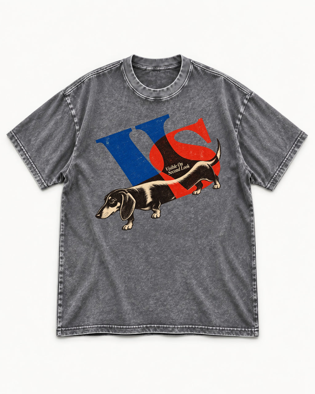 Dachshund VS Visible On Second Look Graphic Washed Tee in Gray, flat lay product photo