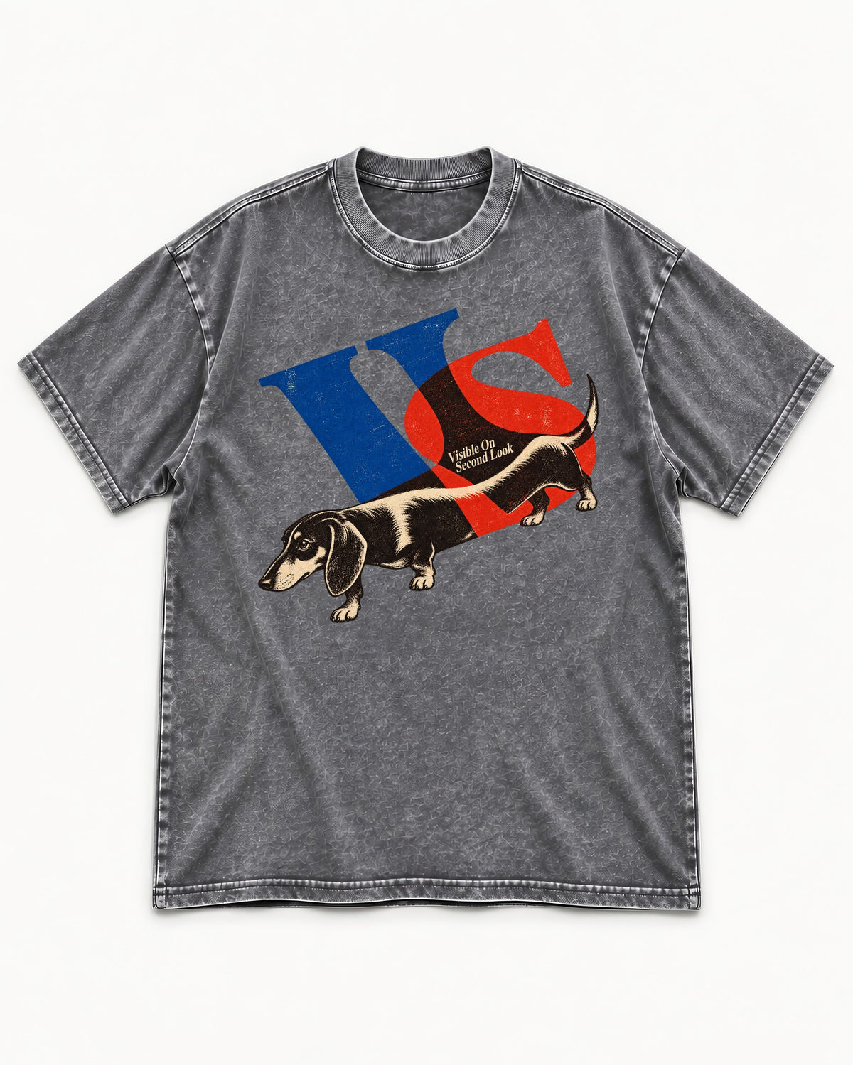 Dachshund VS Visible On Second Look Graphic Washed Tee in Gray, flat lay product photo