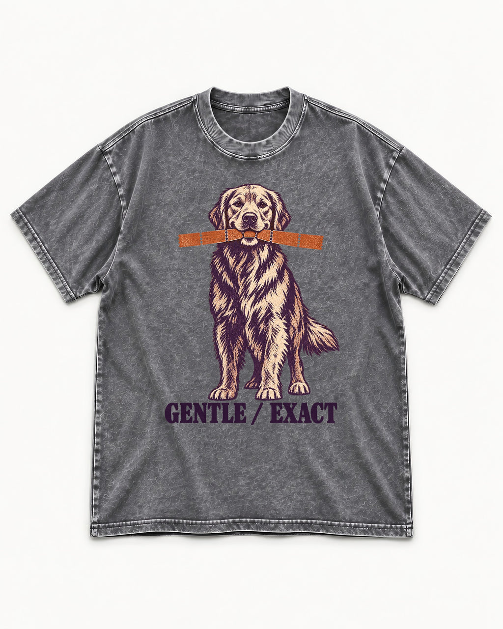 Golden Retriever Gentle Exact Paper Bridge Graphic Washed Tee in Gray, flat lay product photo