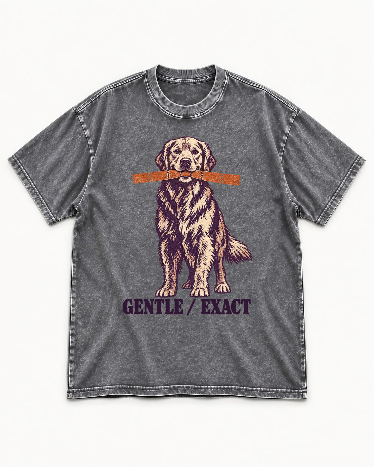 Golden Retriever Gentle Exact Paper Bridge Graphic Washed Tee in Gray, flat lay product photo
