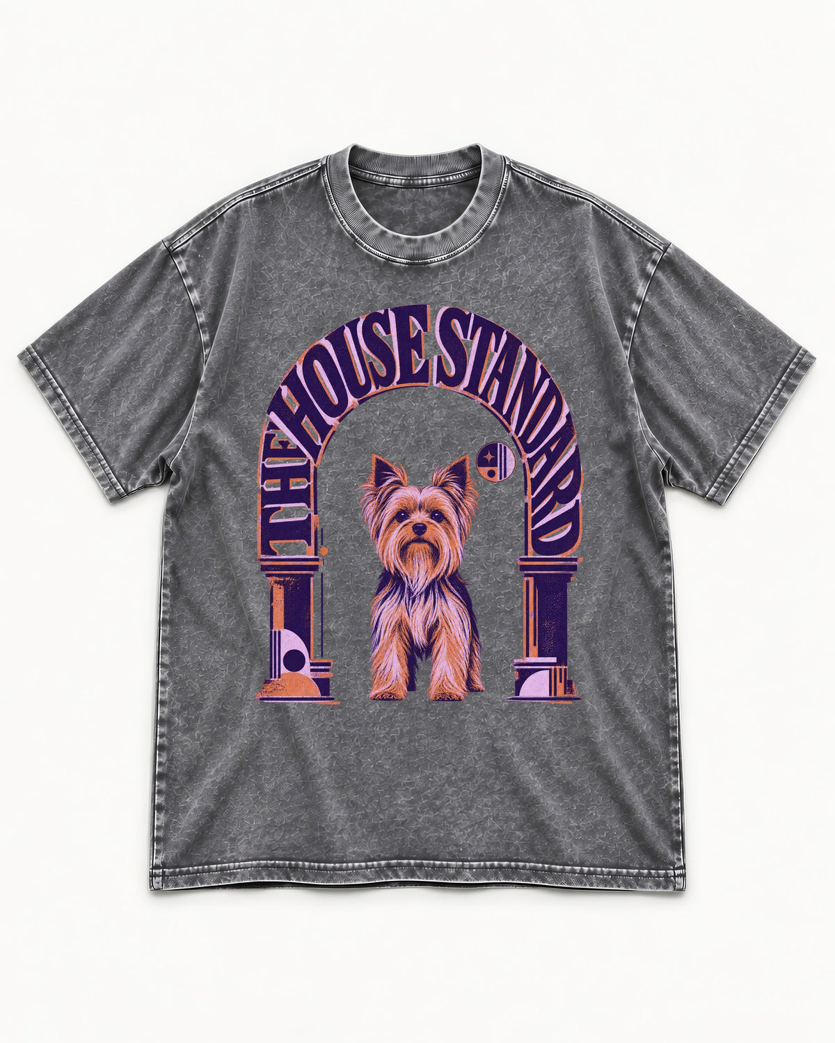 The Yorkshire Terrier House Standard Washed Tee in Gray, flat lay product photo