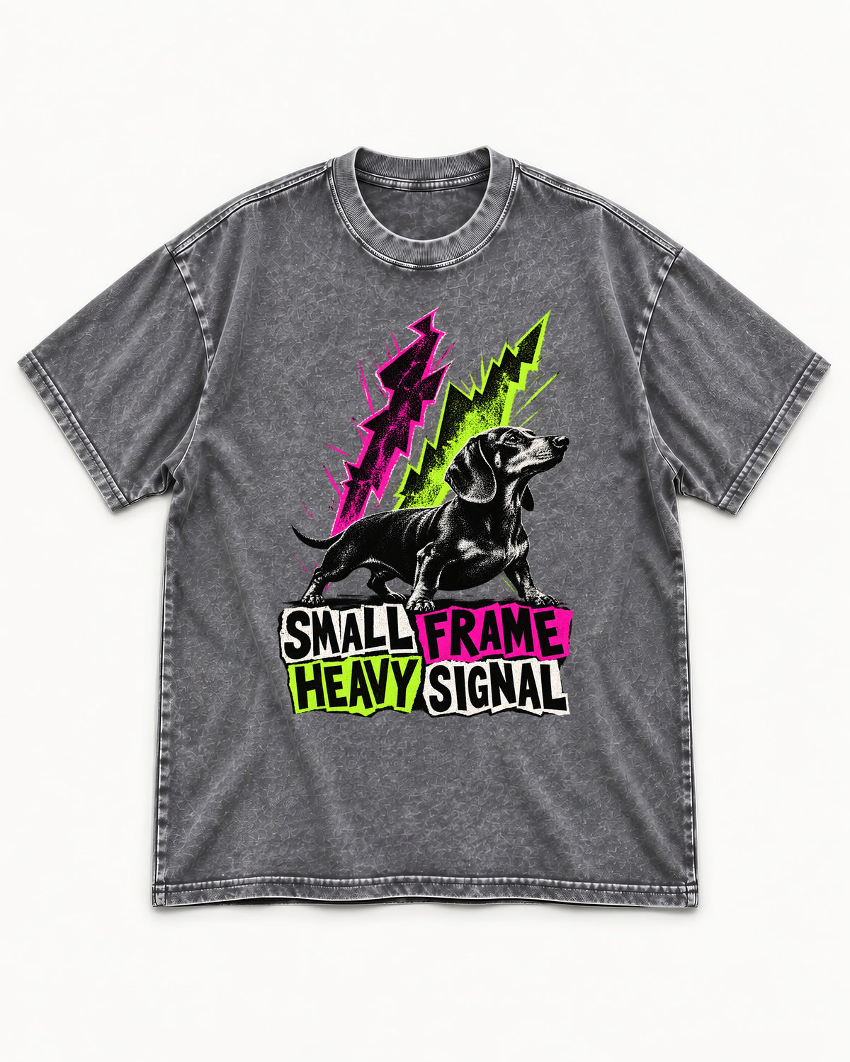 Dachshund Small Frame Heavy Signal Washed Tee in Gray, flat lay product photo
