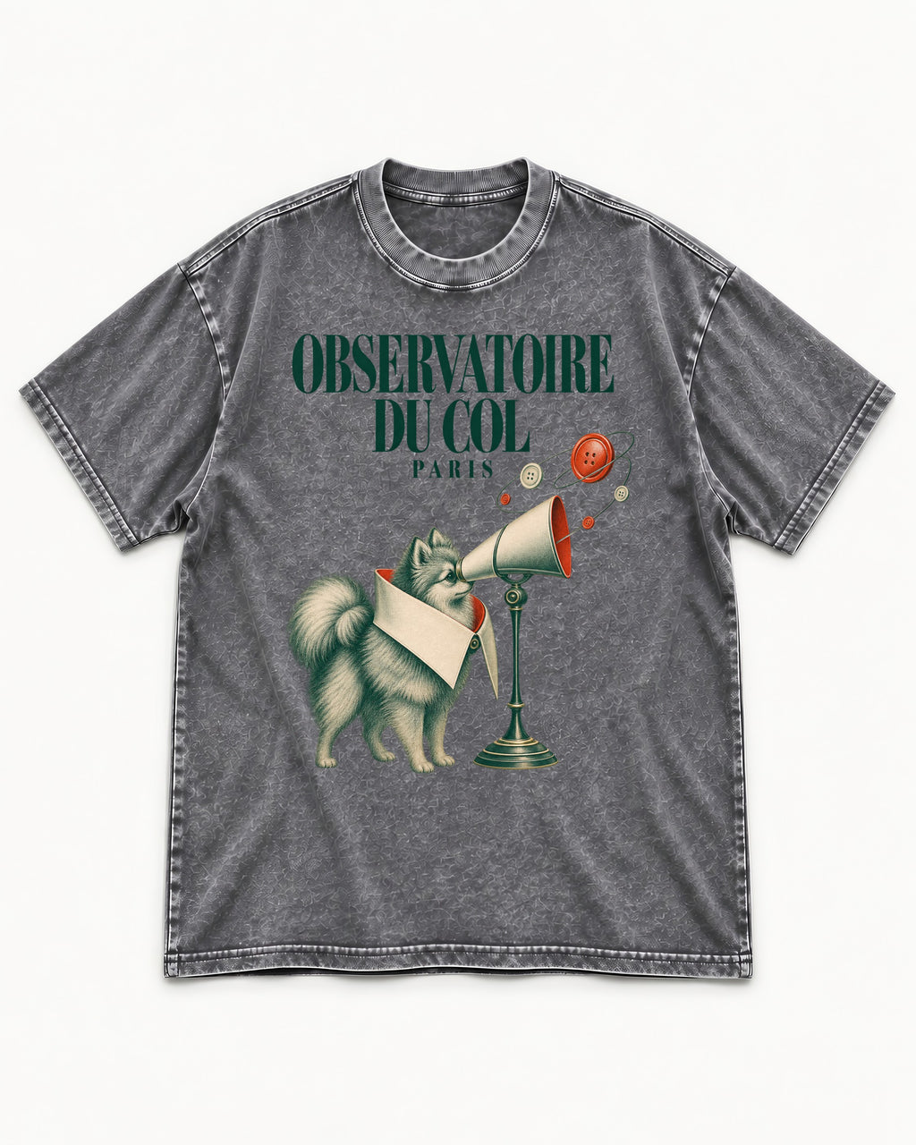 Pomeranian Observatoire Du Col Washed Tee in Gray, flat lay product photo