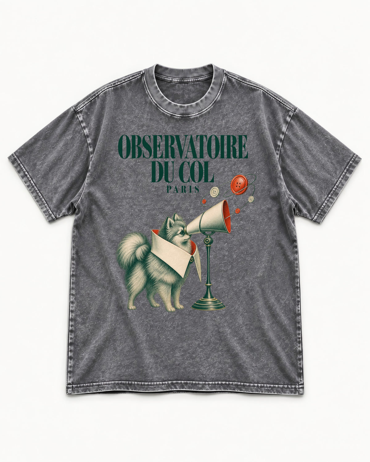 Pomeranian Observatoire Du Col Washed Tee in Gray, flat lay product photo