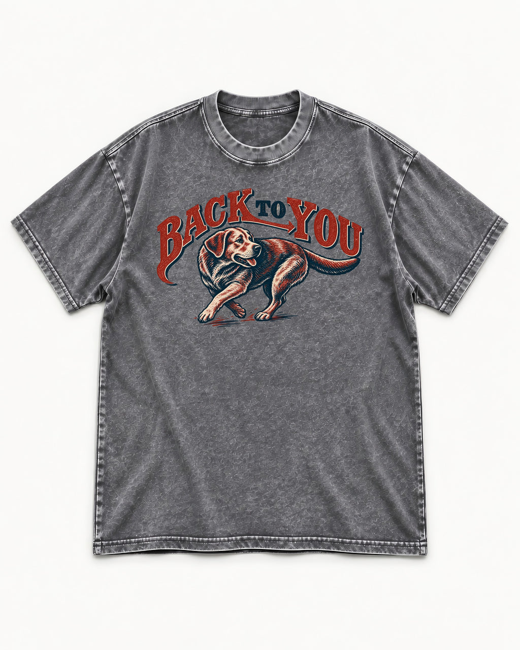 Labrador Retriever Back to You Turning Graphic Washed Tee in Gray, flat lay product photo