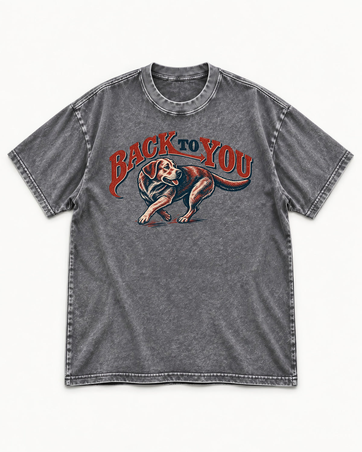Labrador Retriever Back to You Turning Graphic Washed Tee in Gray, flat lay product photo