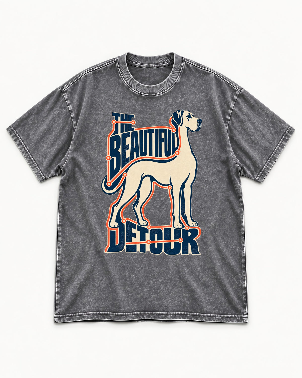 Great Dane's Beautiful Detour Washed Tee in Gray, flat lay product photo