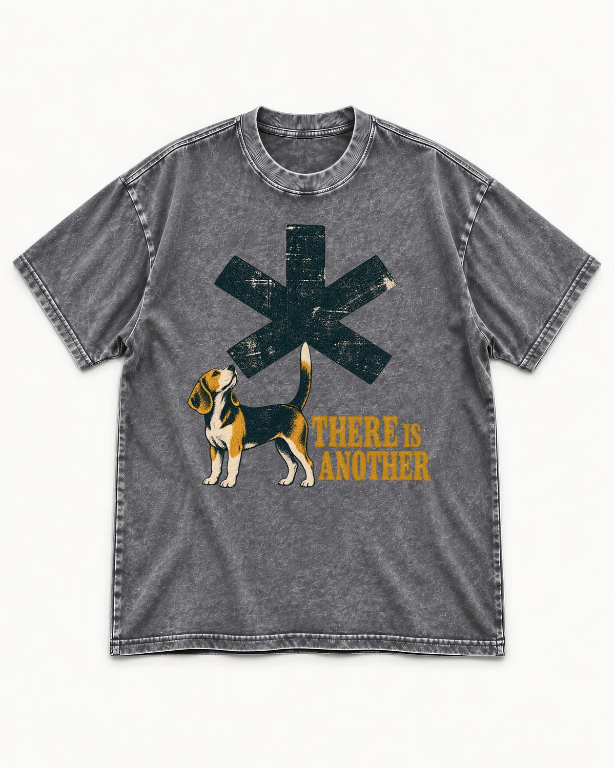 There Is Another Beagle Washed Tee in Gray, flat lay product photo