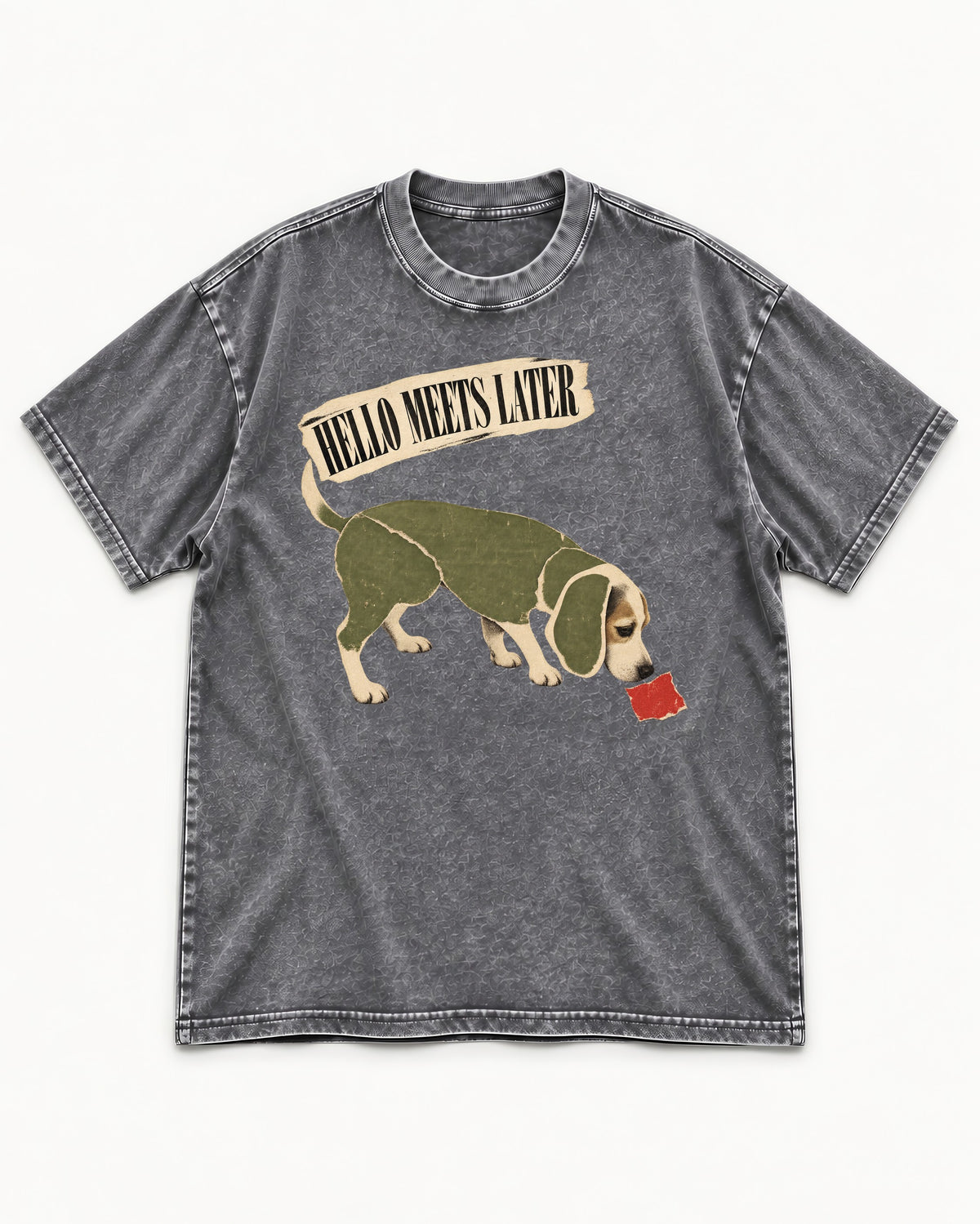 Twenty Minutes Later Beagle Washed Tee in Gray, flat lay product photo