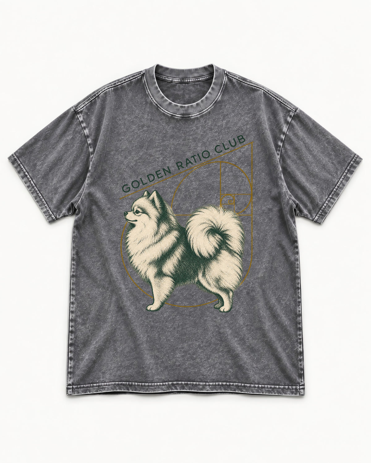 Pomeranian Golden Ratio Club Washed Tee in Gray, flat lay product photo