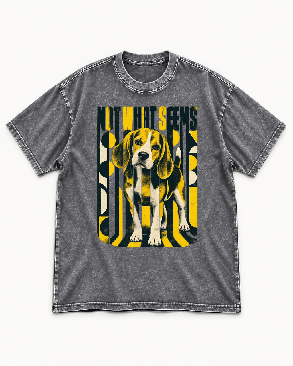 Not What It Seems Beagle Washed Tee in Gray, flat lay product photo