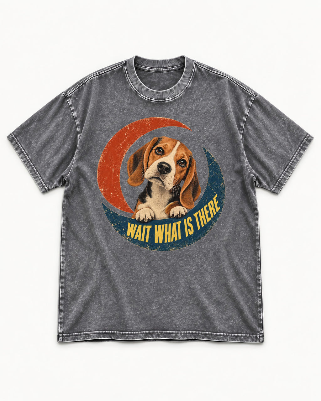 Wait What Is There Beagle Crescent Washed Tee in Gray, flat lay product photo