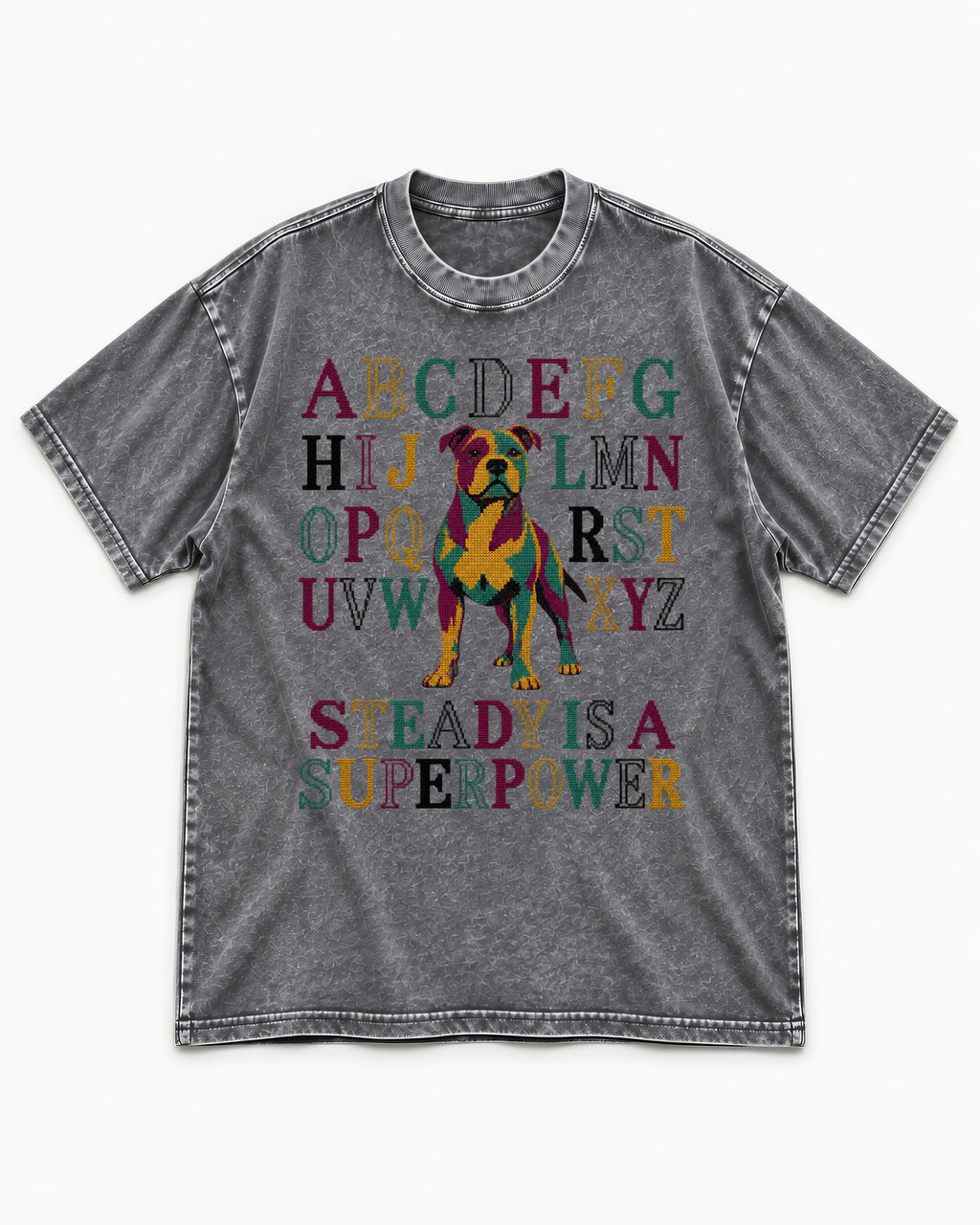 Pitbull Steady Is a Superpower Alphabet Graphic Washed Tee in Gray, flat lay product photo