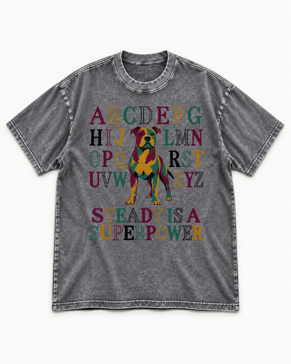 Pitbull Steady Is a Superpower Alphabet Graphic Washed Tee in Gray, flat lay product photo