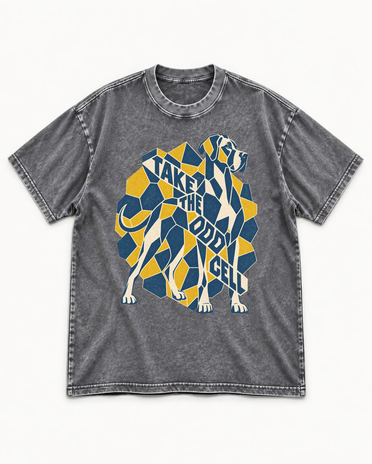Take the Odd Cell Great Dane Washed Tee in Gray, flat lay product photo