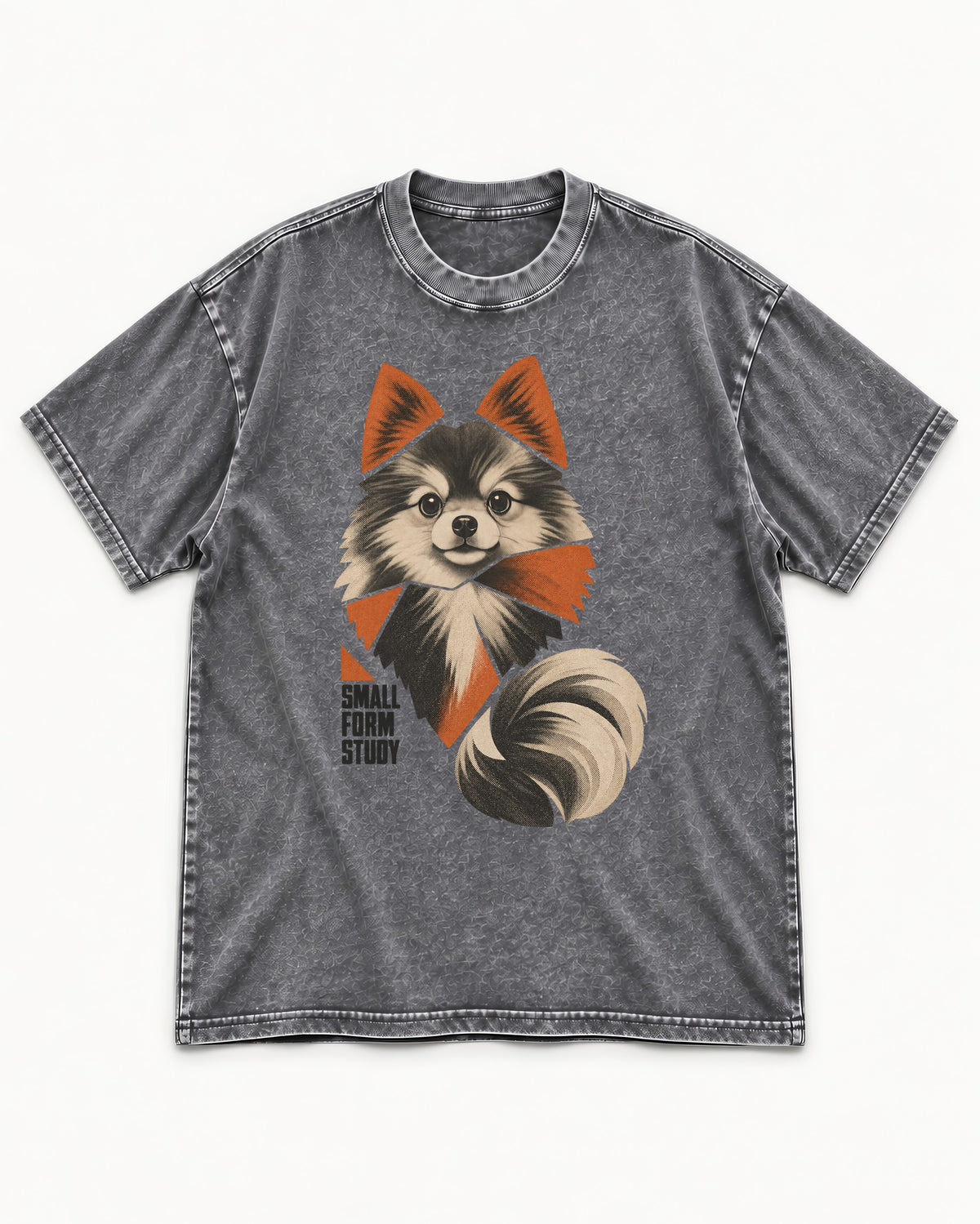 Pomeranian Small Form Study Washed Tee in Gray, flat lay product photo