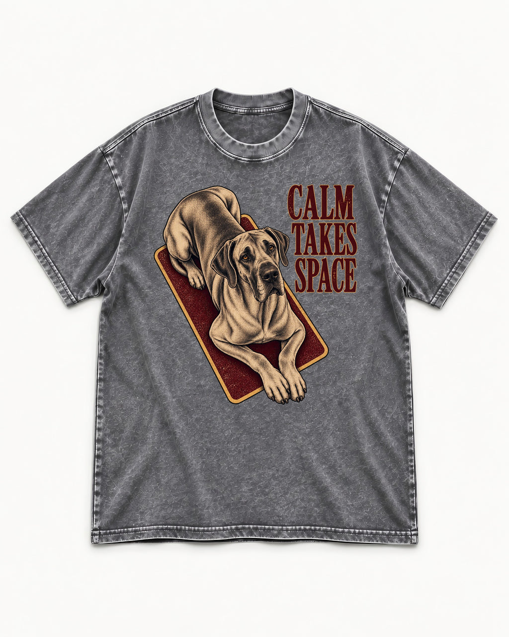 Great Dane Calm Takes Space Washed Tee in Gray, flat lay product photo