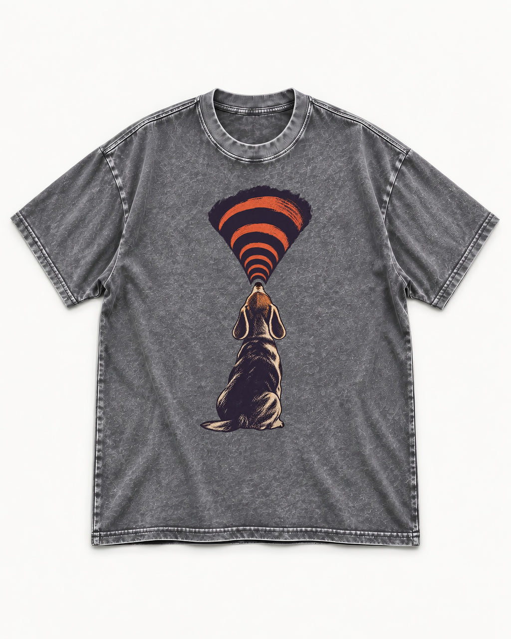 Beagle Broadcast Washed Tee in Gray, flat lay product photo