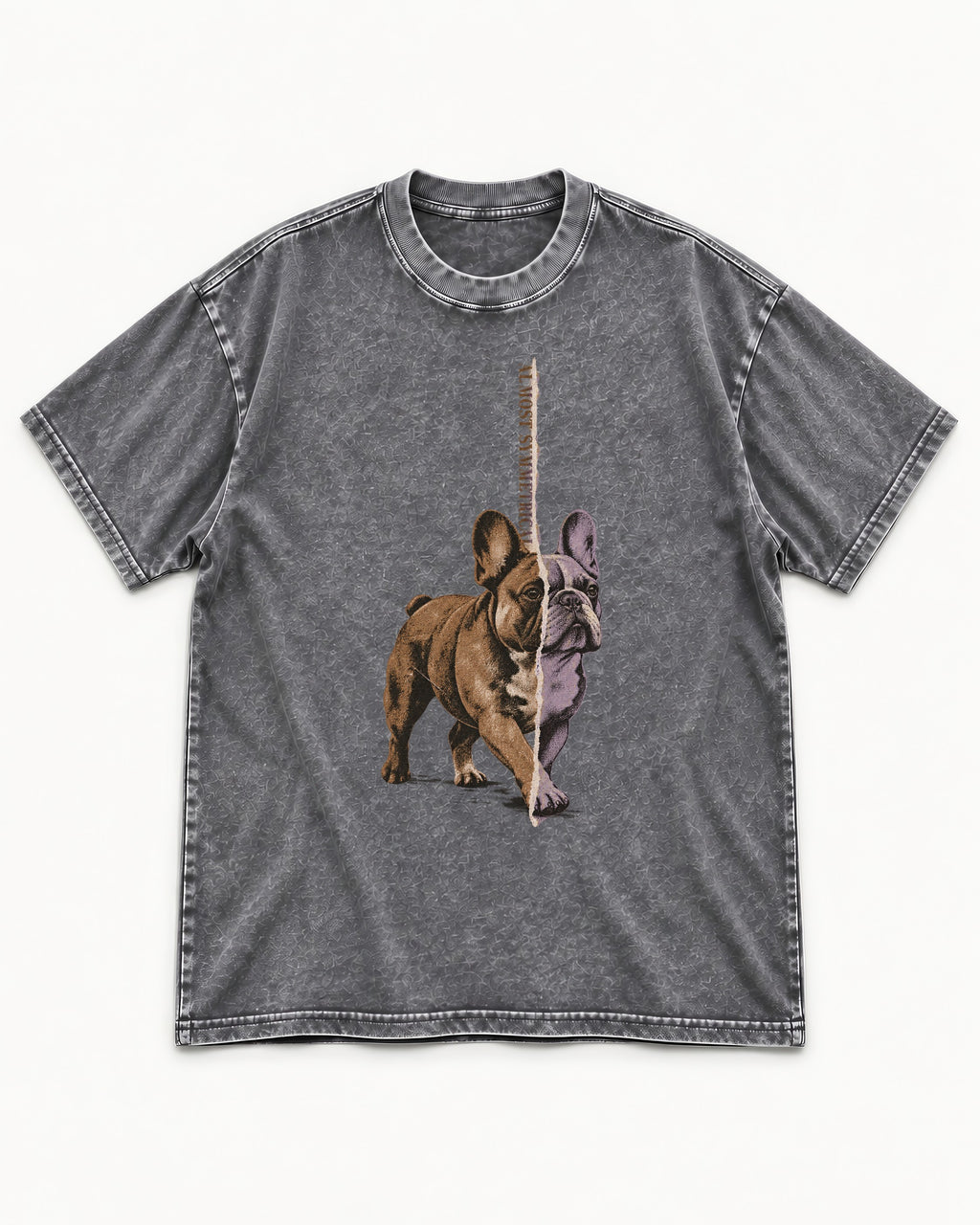 Frenchie Almost Symmetrical Torn Split Graphic Washed Tee in Gray, flat lay product photo