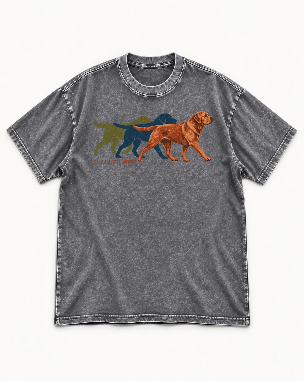 Take the Long Moment Labrador Retriever Washed Tee in Gray, flat lay product photo