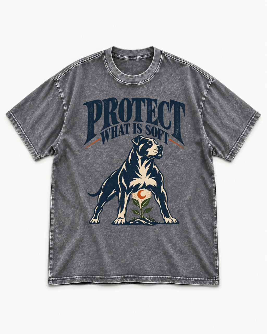 Protect What Is Soft Pitbull Washed Tee in Gray, flat lay product photo