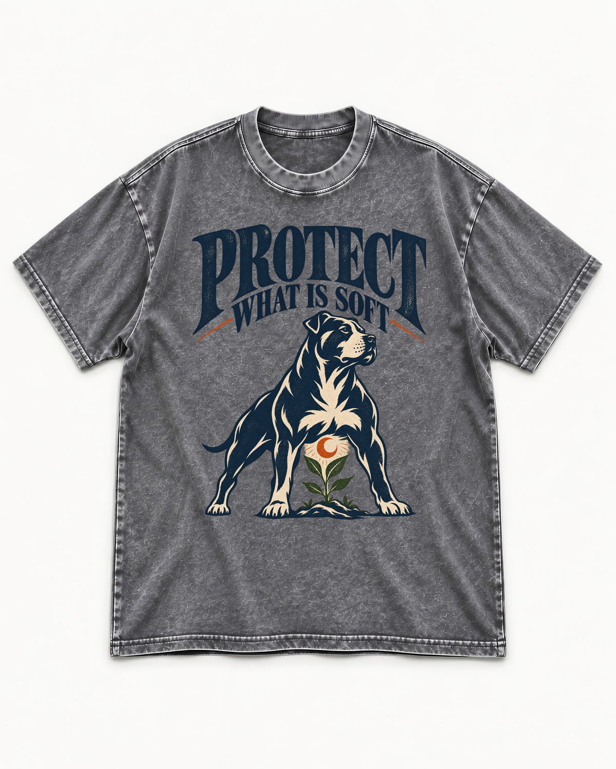 Protect What Is Soft Pitbull Washed Tee in Gray, flat lay product photo