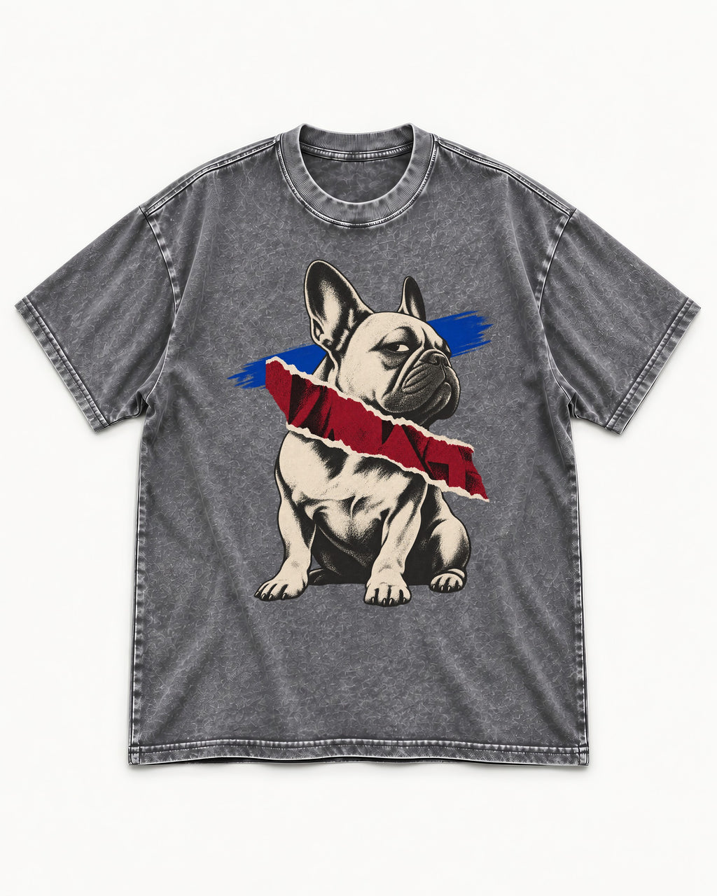 Frenchie Punk Washed Tee in Gray, flat lay product photo