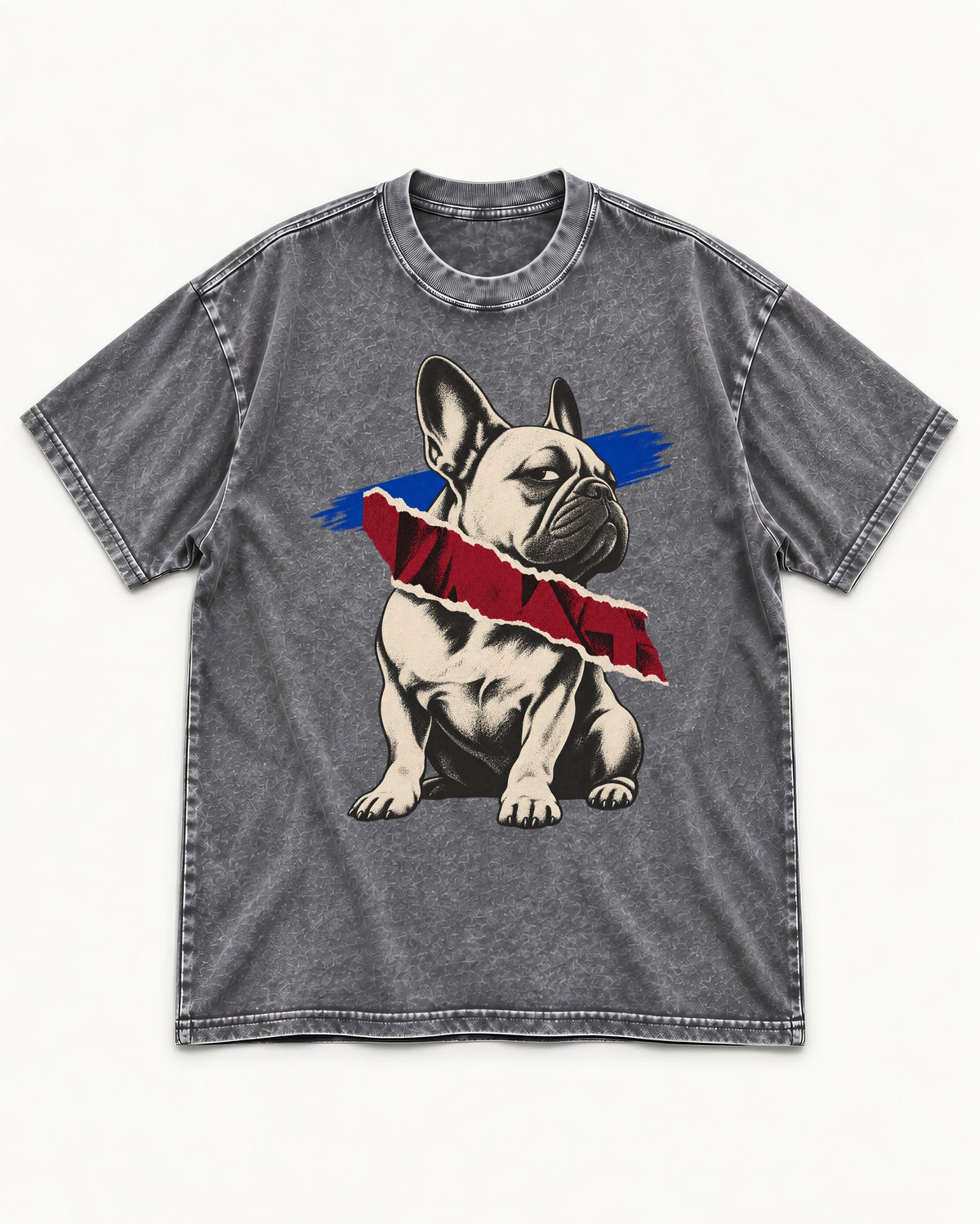 Frenchie Punk Washed Tee in Gray, flat lay product photo