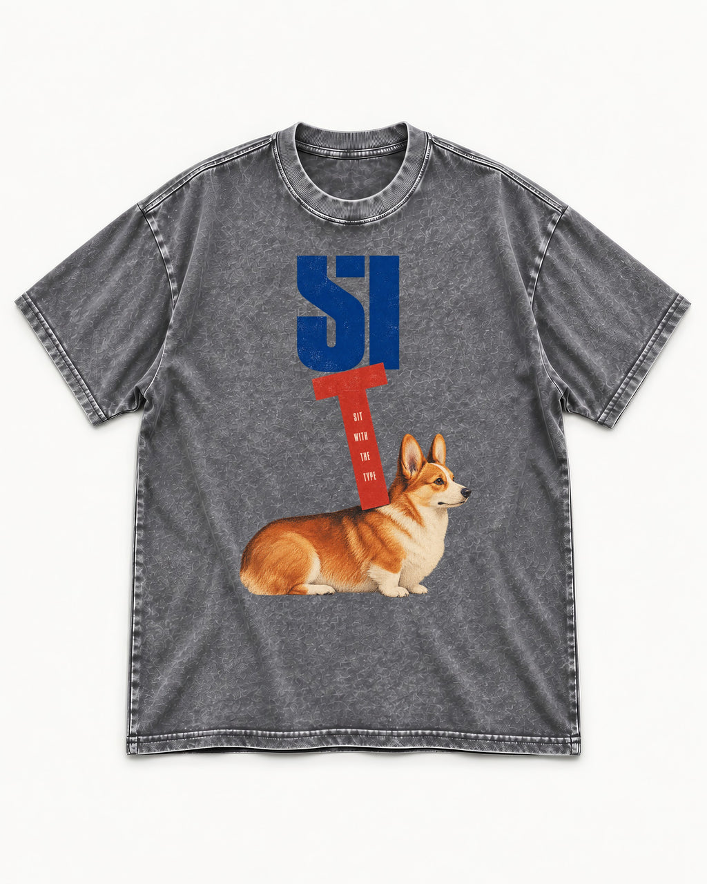Sit with the Corgi Washed Tee in Gray, flat lay product photo