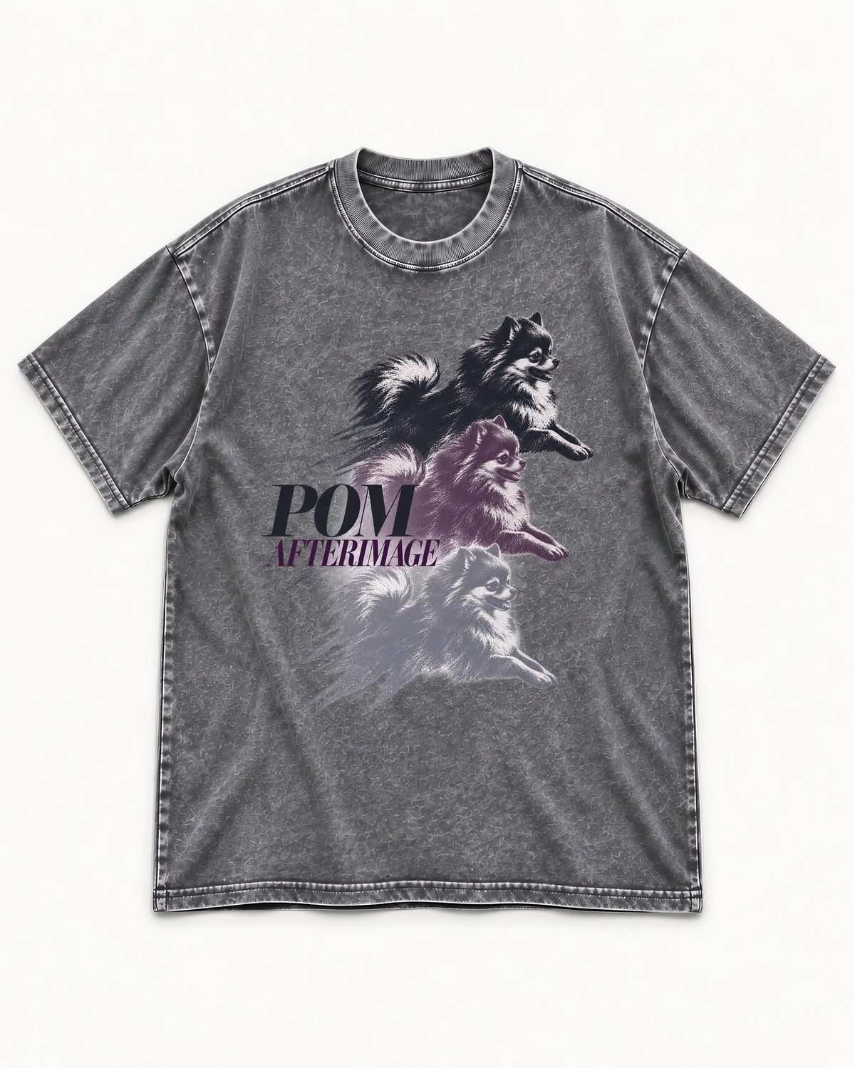Pomeranian Afterimage Washed Tee in Gray, flat lay product photo