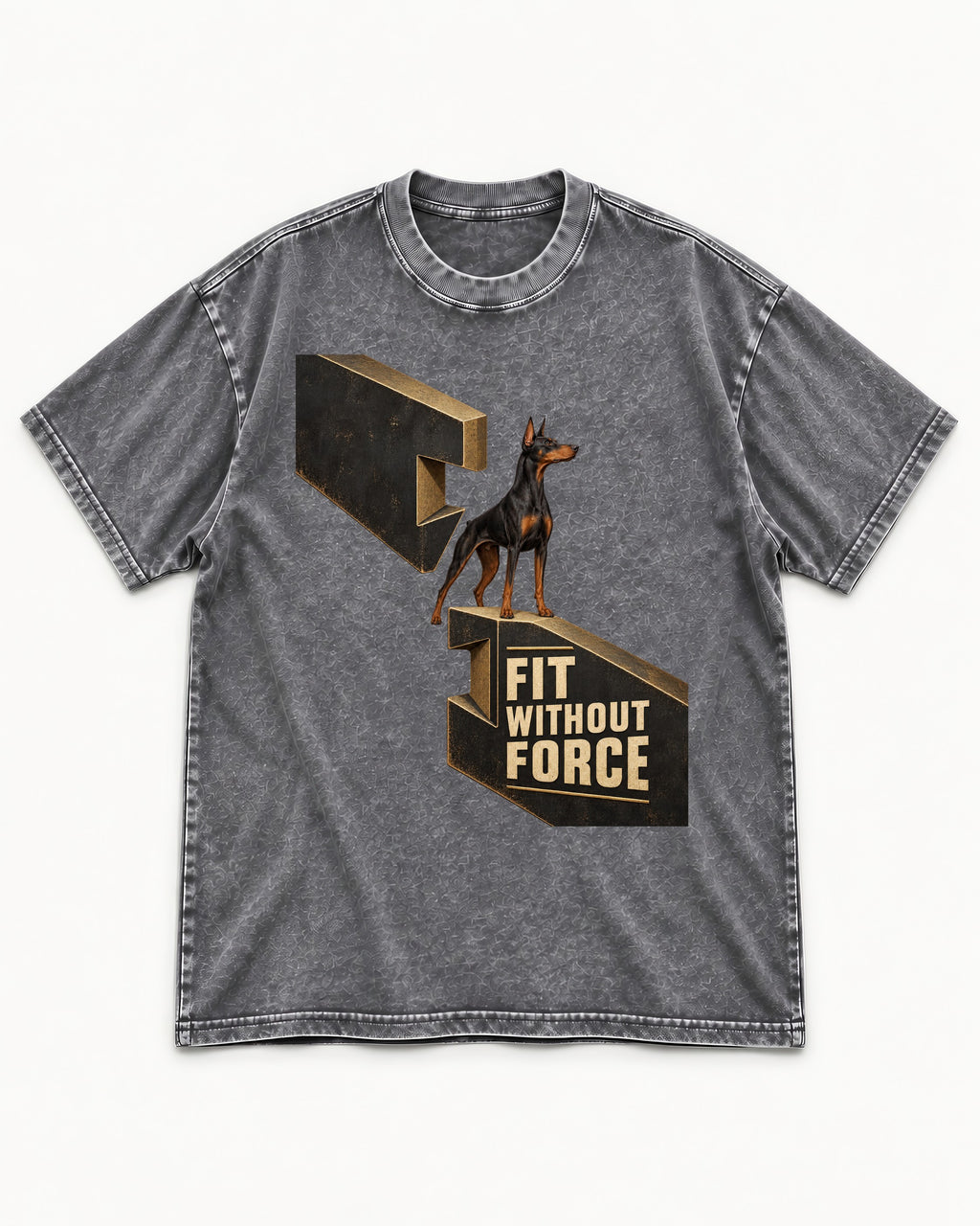 Doberman Fit Without Force Washed Tee in Gray, flat lay product photo