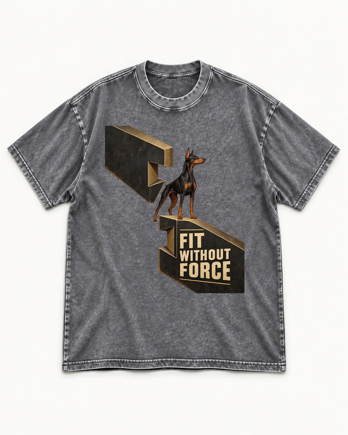 Doberman Fit Without Force Washed Tee in Gray, flat lay product photo