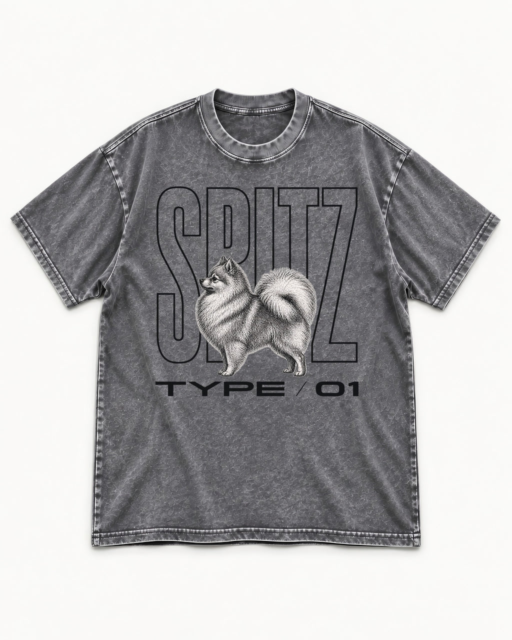 Pomeranian Spitz Washed Tee in Gray, flat lay product photo