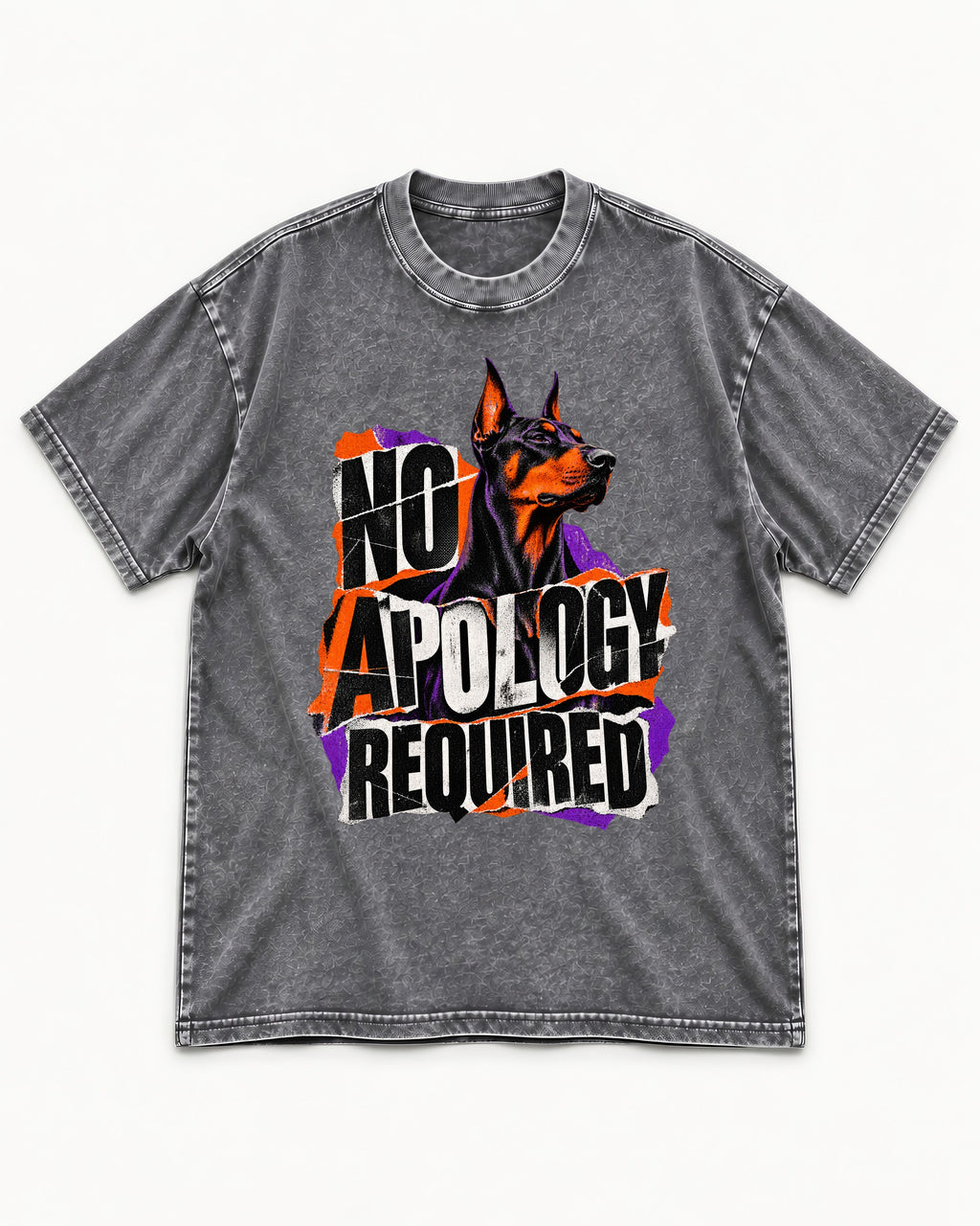 Doberman No Apology Required Torn Paper Graphic Washed Tee in Gray, flat lay product photo