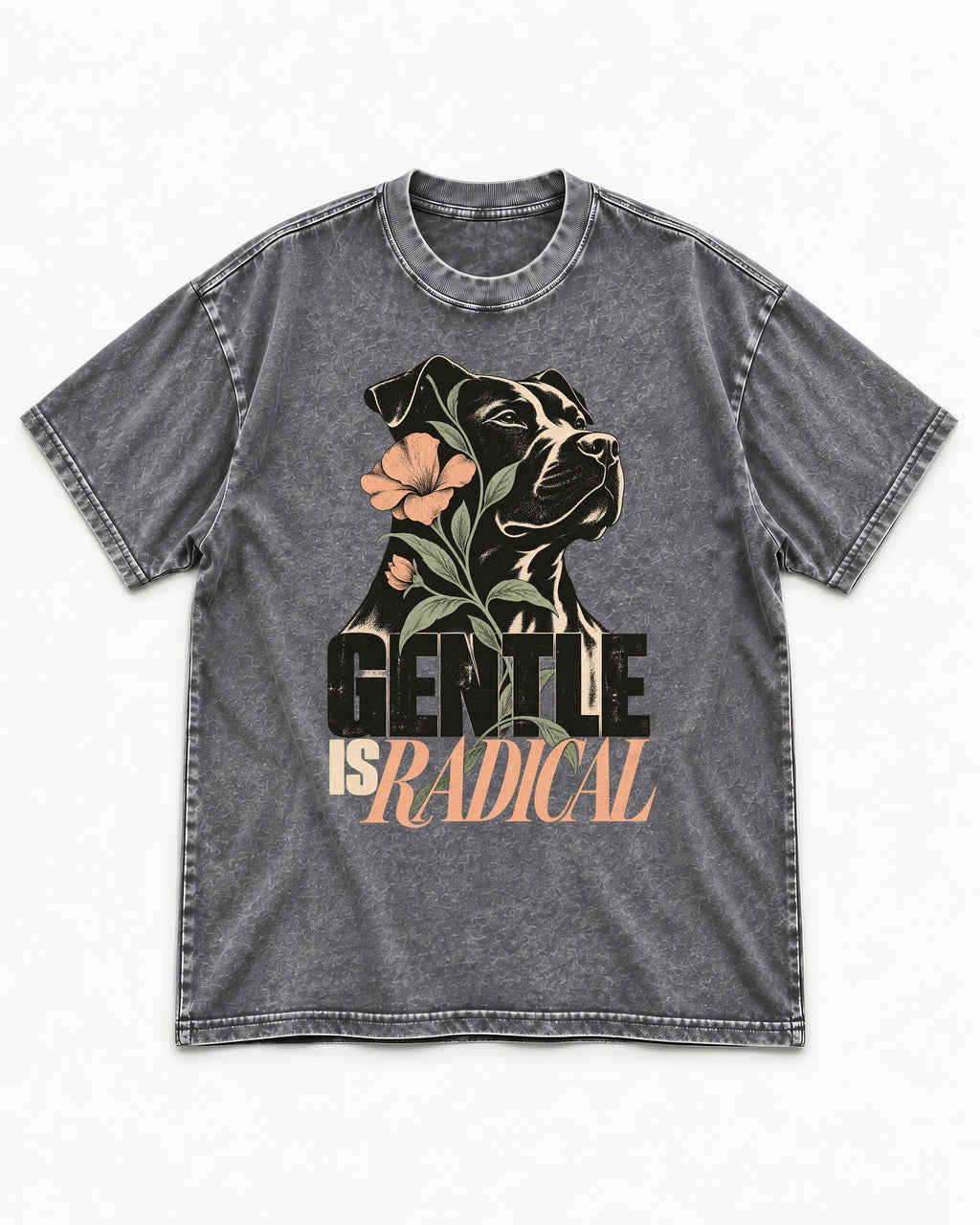 Gentle Pitbull Is Radical Washed Tee in Gray, flat lay product photo