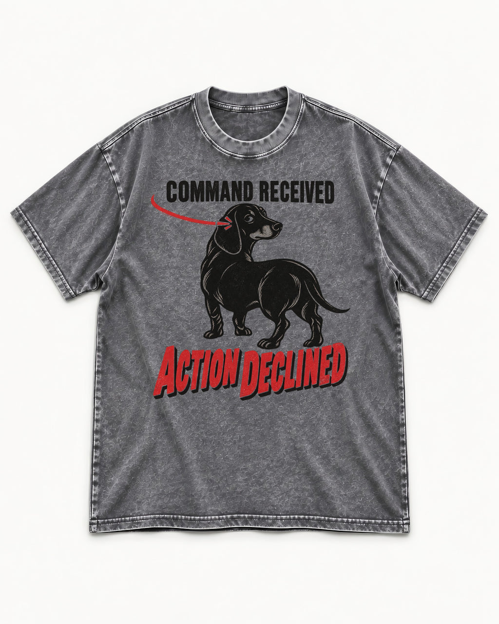 Dachshund Action Declined Washed Tee in Gray, flat lay product photo