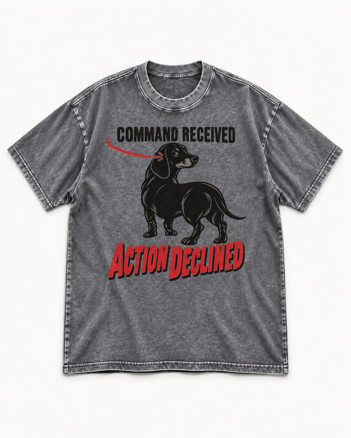 Dachshund Action Declined Washed Tee in Gray, flat lay product photo