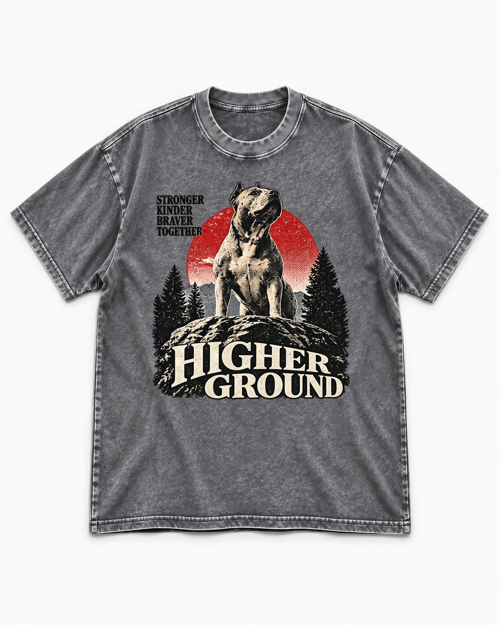 Pitbull Higher Ground Washed Tee in Gray, flat lay product photo