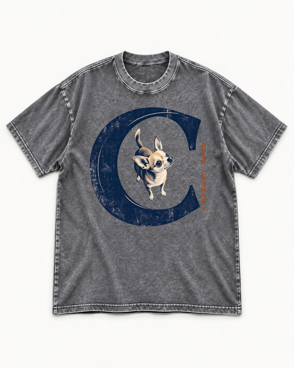 Chihuahua Open Channel Washed Tee in Gray, flat lay product photo