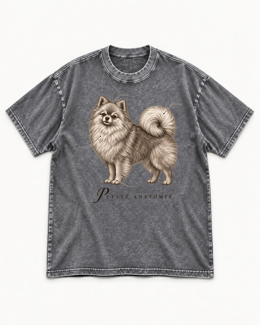 Pomeranian Petite Anatomie Washed Tee in Gray, flat lay product photo