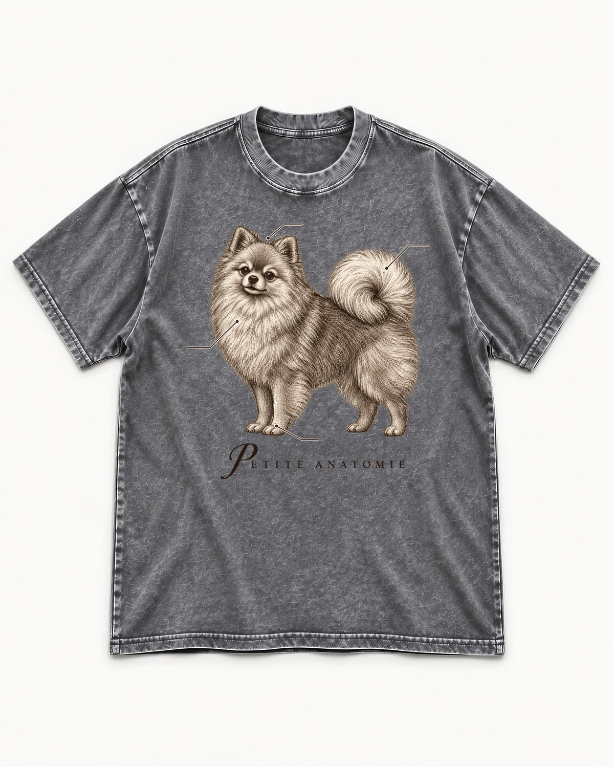 Pomeranian Petite Anatomie Washed Tee in Gray, flat lay product photo