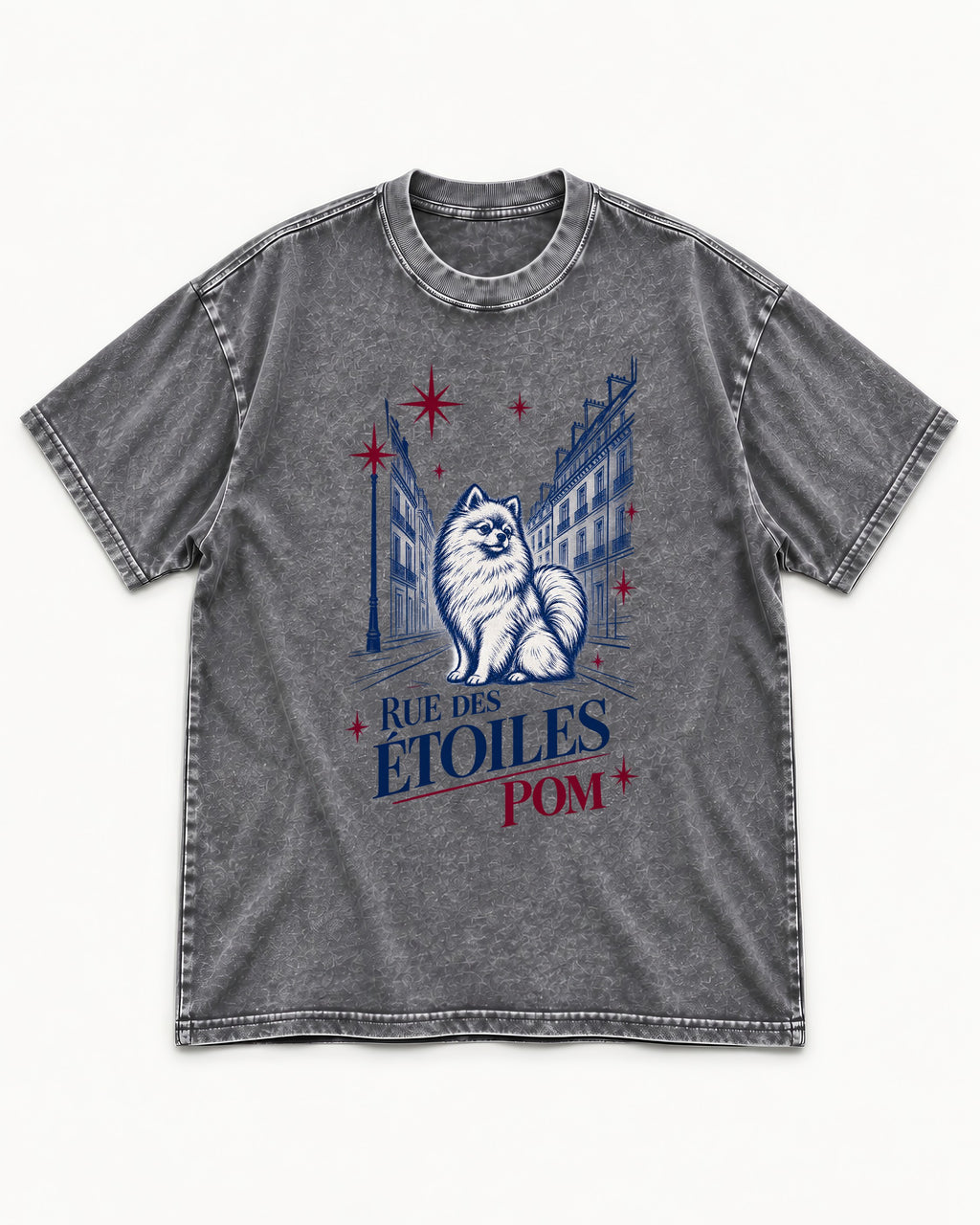 Pomeranian Among the Stars Washed Tee in Gray, flat lay product photo