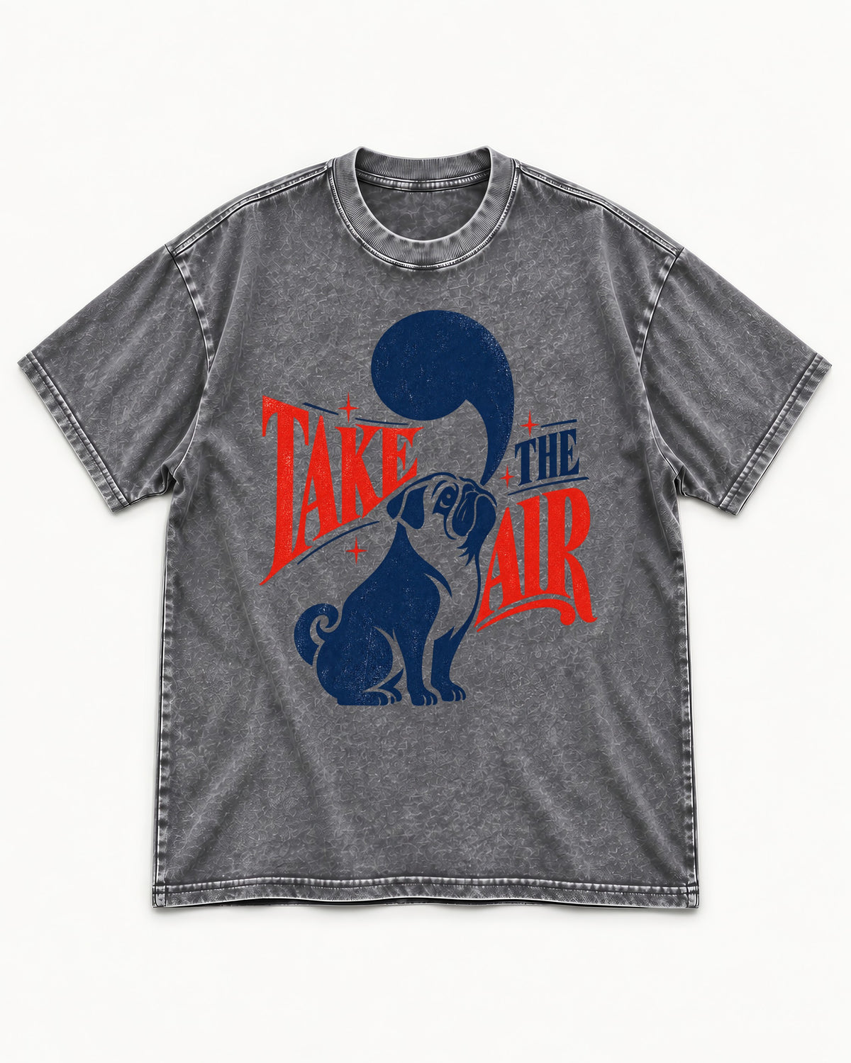 Pug Take the Air Washed Tee in Gray, flat lay product photo