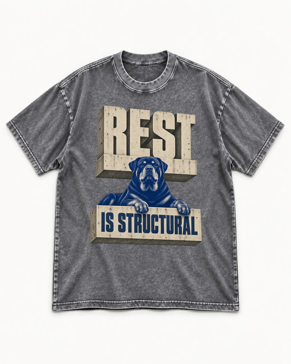 Rottweiler Rest Is Structural Architectural Type Graphic Washed Tee in Gray, flat lay product photo