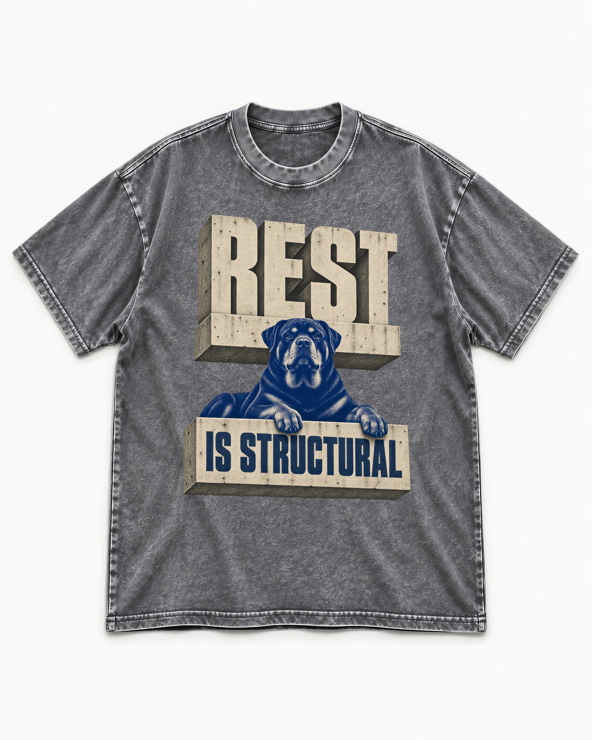 Rottweiler Rest Is Structural Architectural Type Graphic Washed Tee in Gray, flat lay product photo