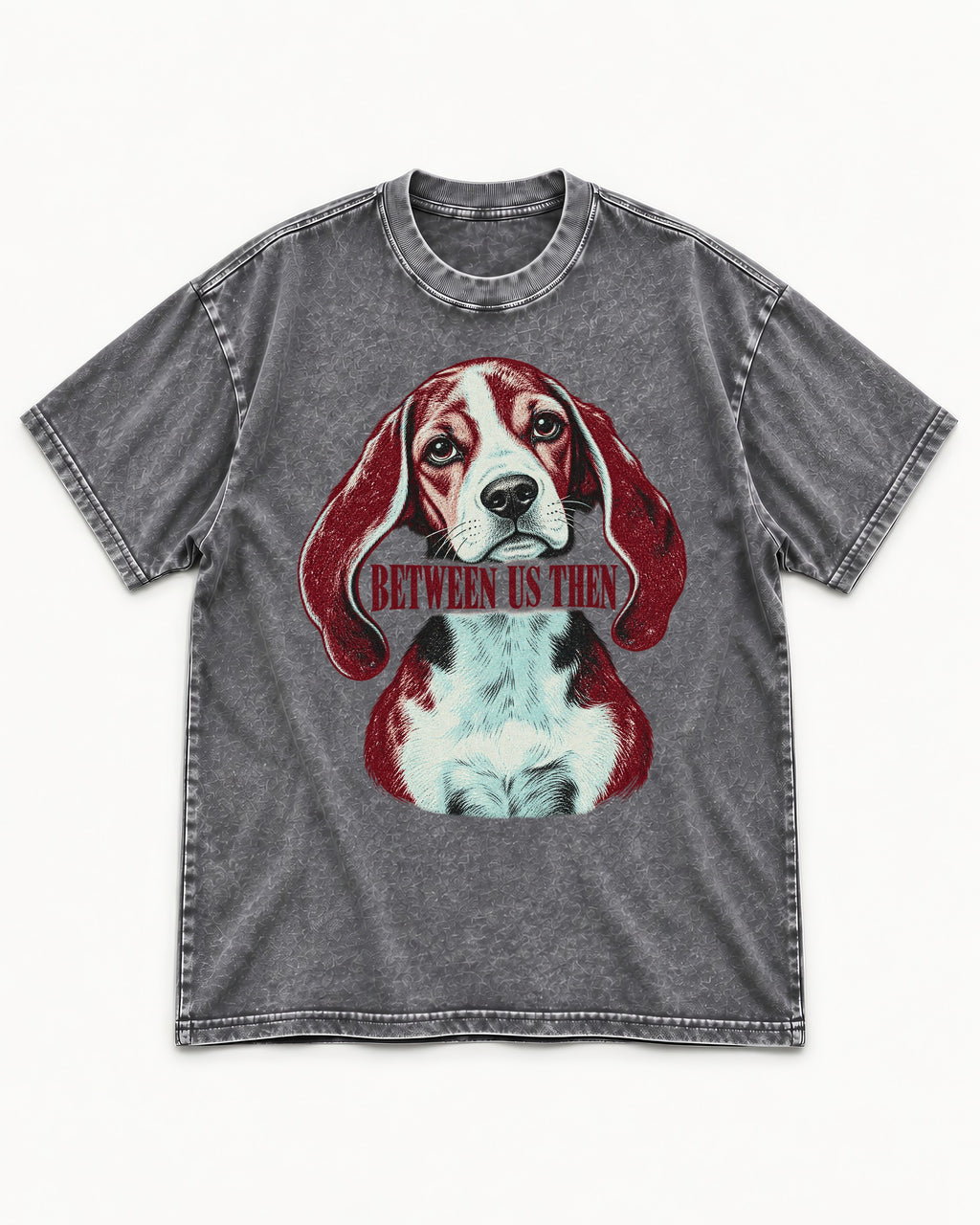 Beagle Between Us Then Washed Tee in Gray, flat lay product photo