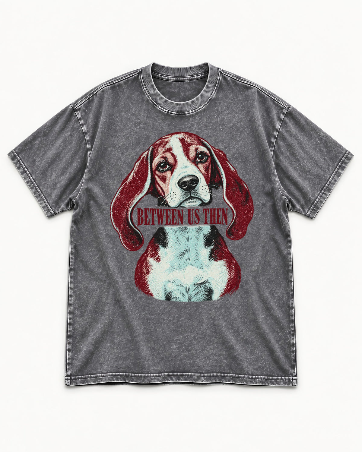 Beagle Between Us Then Washed Tee in Gray, flat lay product photo