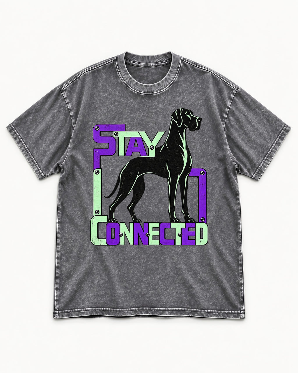 Great Dane Stay Connected Modular Frame Graphic Washed Tee in Gray, flat lay product photo