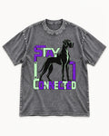Great Dane Stay Connected Modular Frame Graphic Washed Tee in Gray, flat lay product photo
